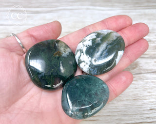 Moss Agate Palm Stone