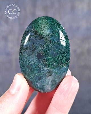 A hand holding a Moss Agate Palmstone