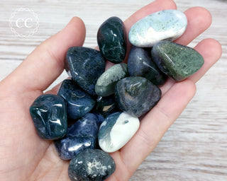 Moss Agate Tumbled Crystals in hand
