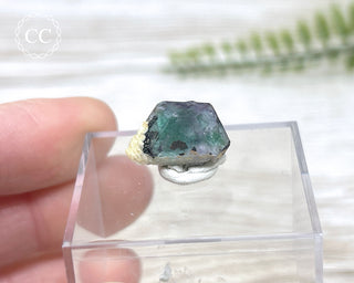 Fluorite Specimen - Namibia #12