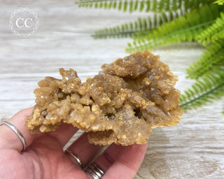 Natural Citrine Cluster - Morocco #3
