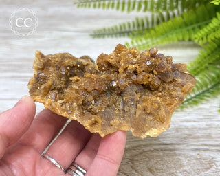 Natural Citrine Cluster - Morocco #4