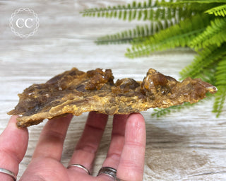 Natural Citrine Cluster - Morocco #1