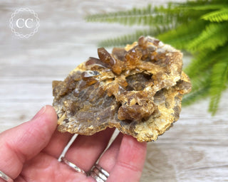 Natural Citrine Cluster - Morocco #6