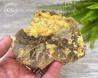Natural Citrine Cluster - Morocco #6