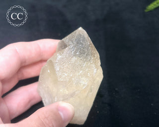 Natural Citrine #3