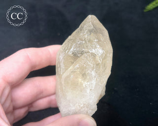 Natural Citrine #3