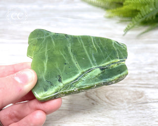 Nephrite Jade Polished Slice #3