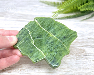 Nephrite Jade Polished Slice #1