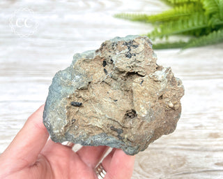 Neptunite Specimen #1