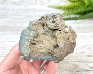 Neptunite Specimen #1