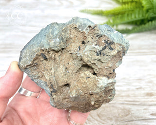 Neptunite Specimen #1