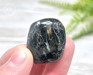 Nuummite Pebble #2