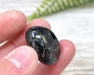 Nuummite Pebble #1