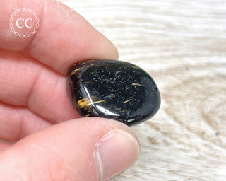 Nuummite Pebble #7