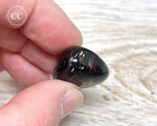 Nuummite Pebble #7