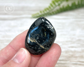 Nuummite Pebble #2