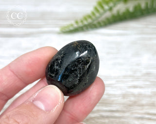 Nuummite Pebble #10