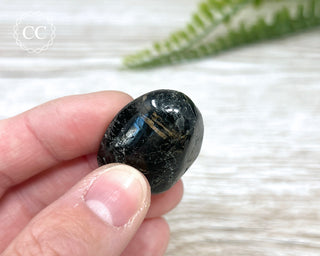 Nuummite Pebble #10