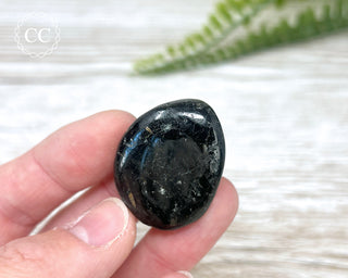 Nuummite Pebble #10