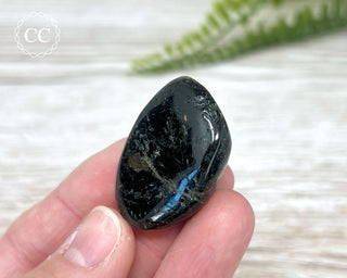 Nuummite Pebble #2