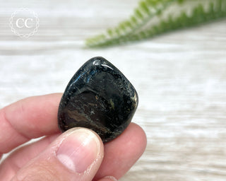 Nuummite Pebble #2