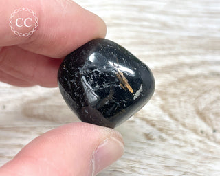 Nuummite Pebble #9