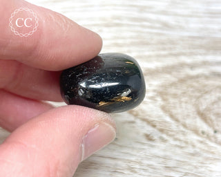 Nuummite Pebble #9