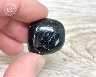 Nuummite Pebble #9