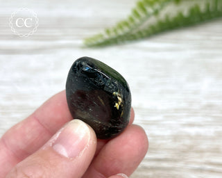 Nuummite Pebble #2