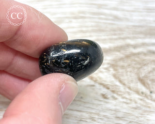 Nuummite Pebble #9
