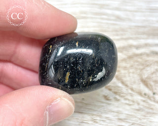 Nuummite Pebble #10