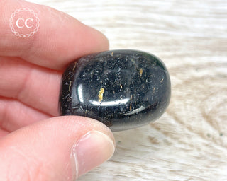 Nuummite Pebble #10