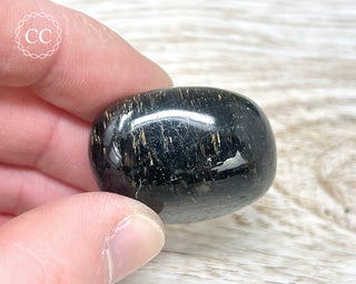 Nuummite Pebble #10