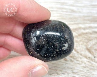 Nuummite Pebble #10