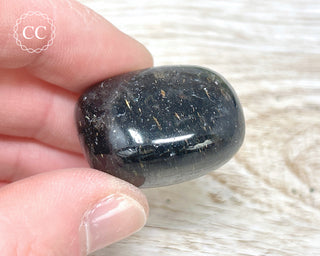 Nuummite Pebble #10