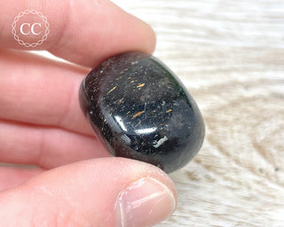 Nuummite Pebble #10