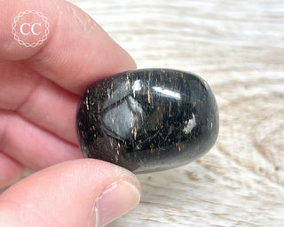 Nuummite Pebble #10