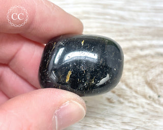 Nuummite Pebble #10