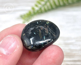Nuummite Pebble #2