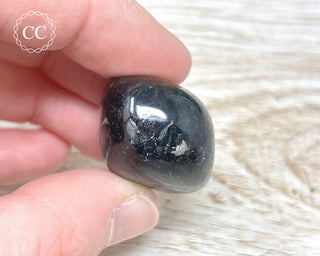 Nuummite Pebble #10