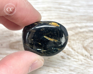 Nuummite Pebble #11