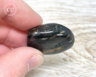 Nuummite Pebble #11