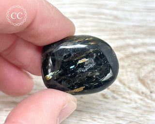 Nuummite Pebble #11