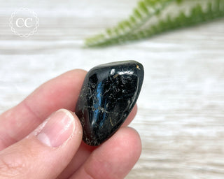 Nuummite Pebble #2