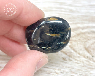 Nuummite Pebble #11