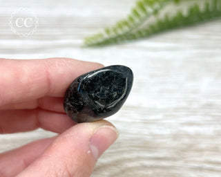 Nuummite Pebble #2