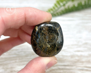 Nuummite Pebble #1