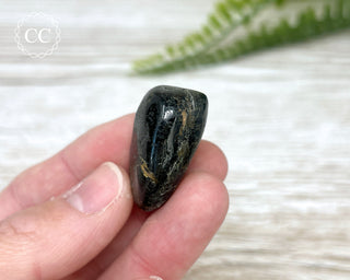 Nuummite Pebble #3