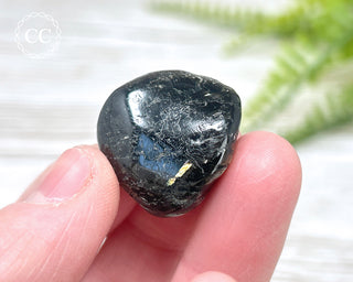 Nuummite Pebble #5